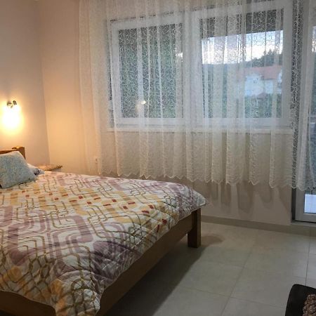 Apartment Vistanova Vrdnik Extérieur photo